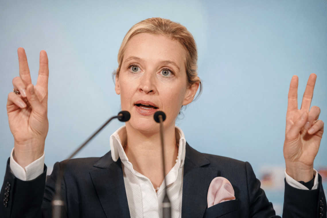 alice weidel ohr prothese
